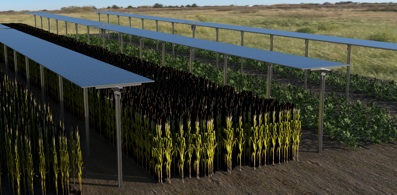 napelem_projekt (1).png